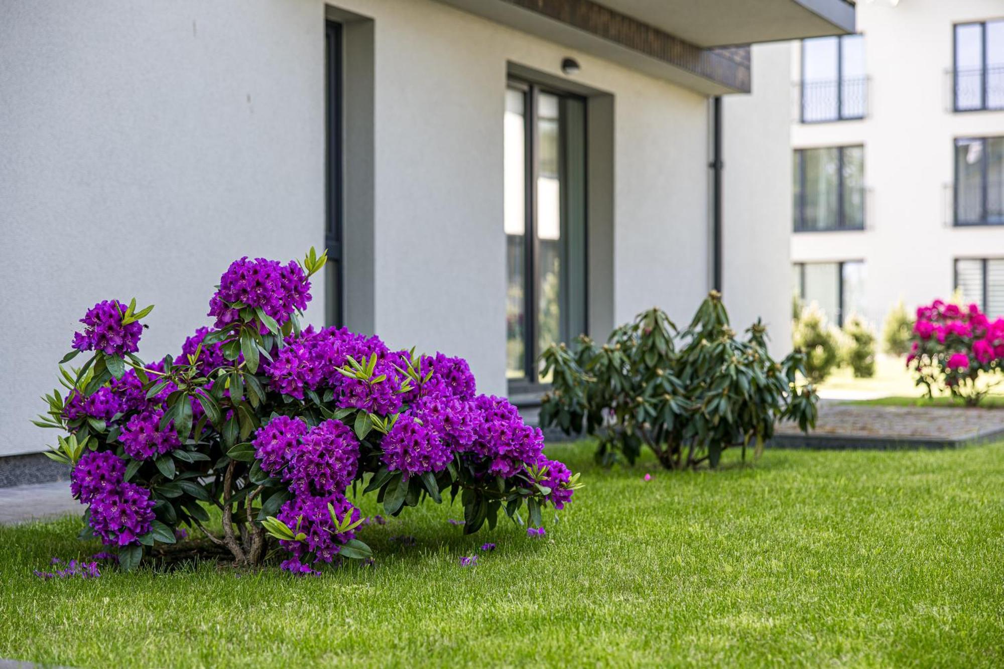 Dzīvoklis Egitos Apartamentai Palanga